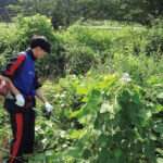 エコニュース『一社一村しずおか運動』を追加しました。